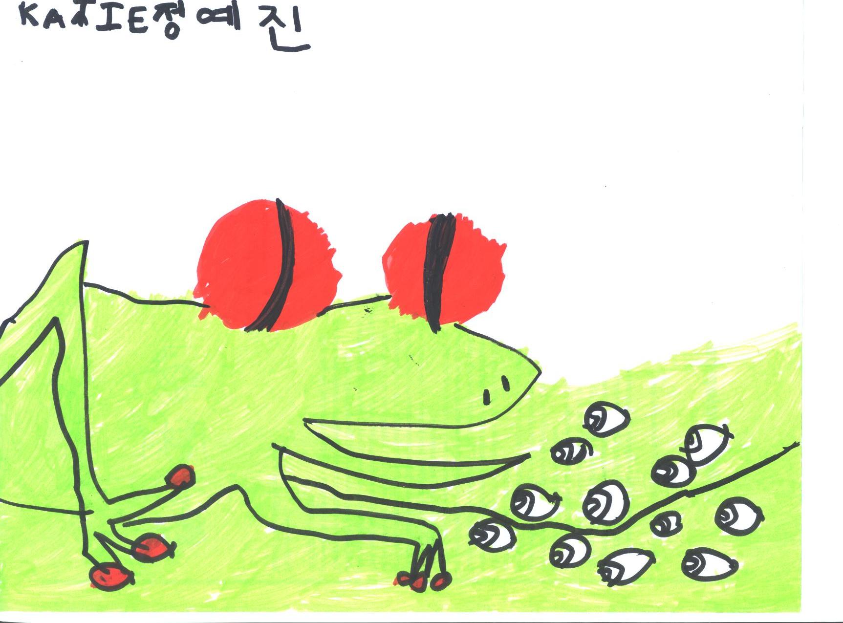 frog2.jpg