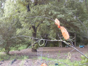 Wire Garden Sculpture