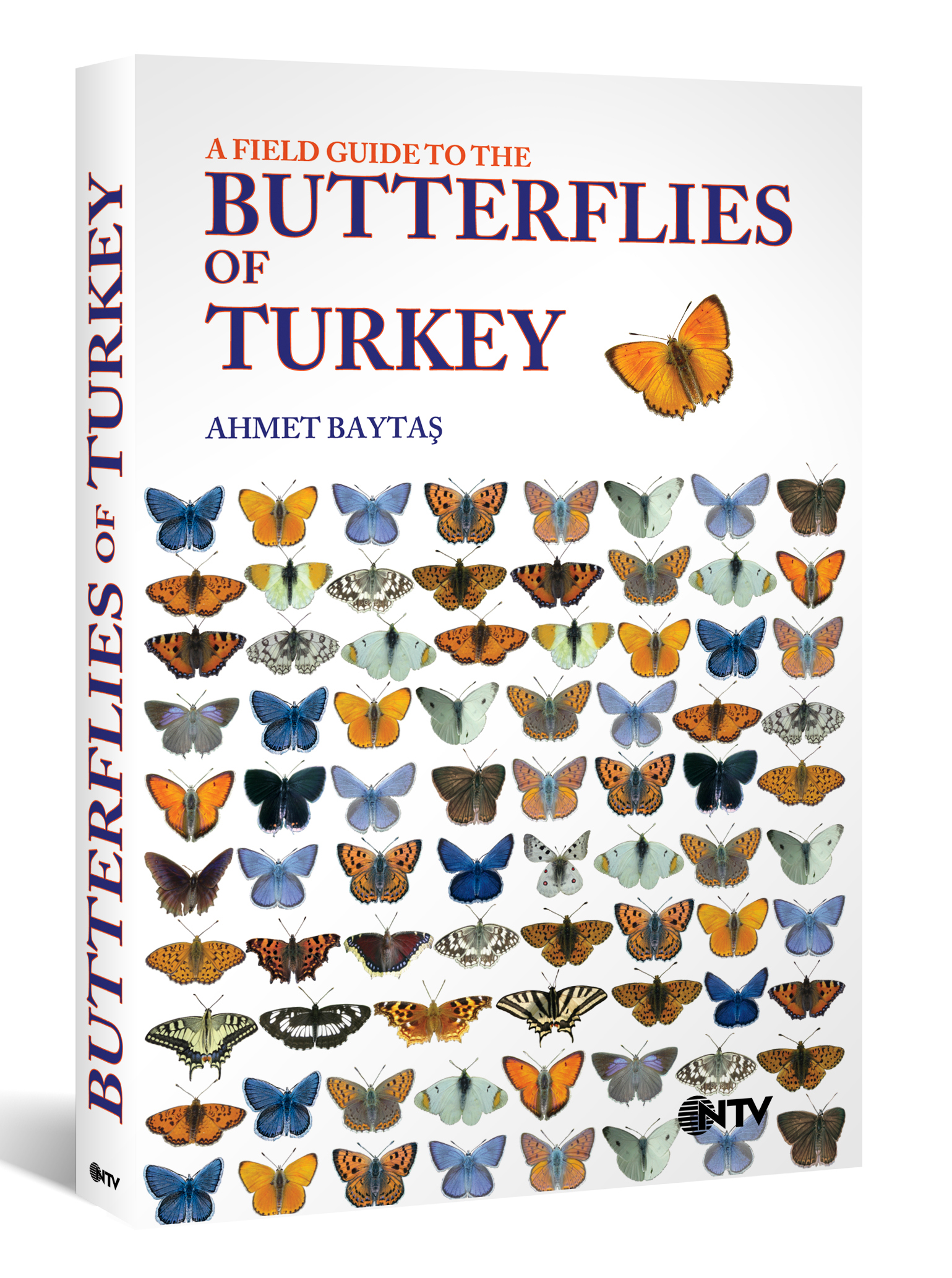 butterflies_cover.jpg